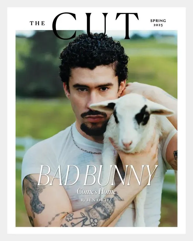 Portfolio item [object Object]